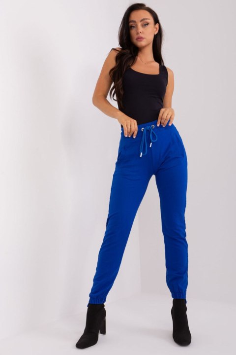 Spodnie Dresowe Model RV-DR-8547.08 Cobalt - Relevance Spodnie Dresowe Model RV-DR-8547.08 Cobalt - Relevance
