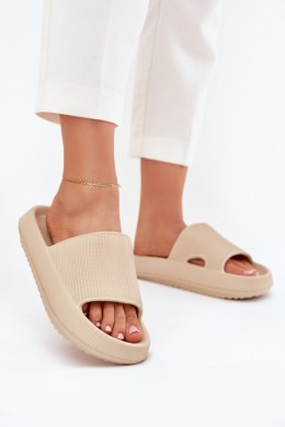 Klapki damskie Model Ameira BG208P Beige - Step in style