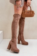Kozaki Model Zistaria LQ-79 Dark Beige 