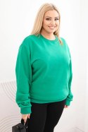 Bluza damska pętelkowa Plus Size bawełniana basic z okrągłym dekoltem jasno zielona